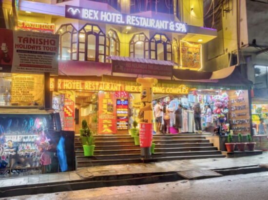 Hotel Ibex Manali 