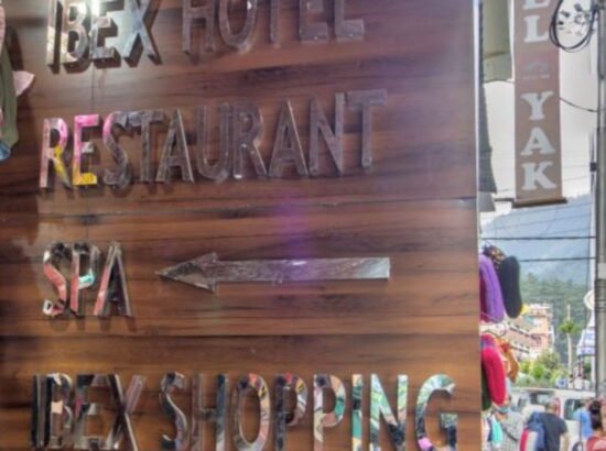 Hotel Ibex Manali 