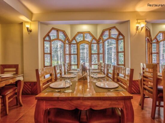 Hotel Ibex Manali 