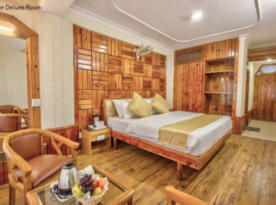 Hotel Ibex Manali 