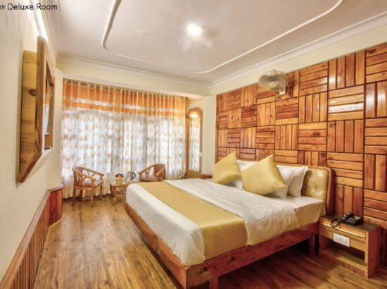 Hotel Ibex Manali 