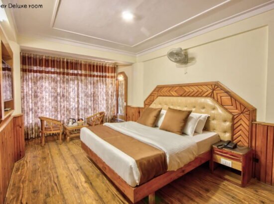 Hotel Ibex Manali 