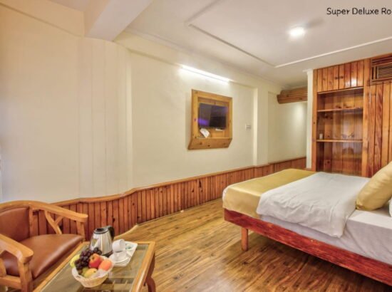 Hotel Ibex Manali 