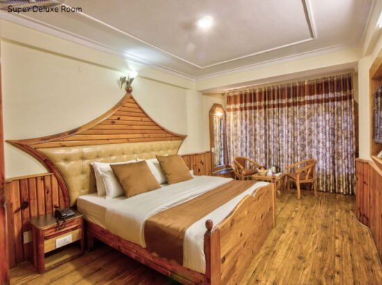 Hotel Ibex Manali 