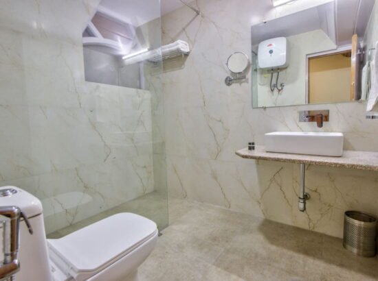Hotel Ibex Manali 