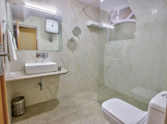 Hotel Ibex Manali 