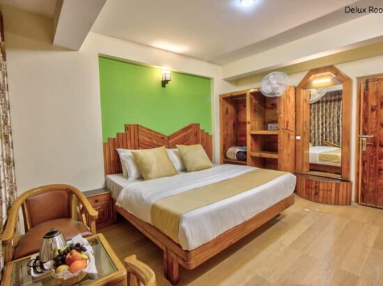 Hotel Ibex Manali 