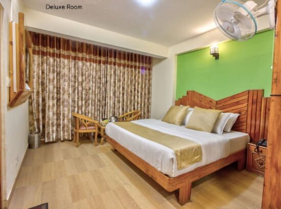 Hotel Ibex Manali 