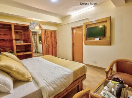Hotel Ibex Manali 