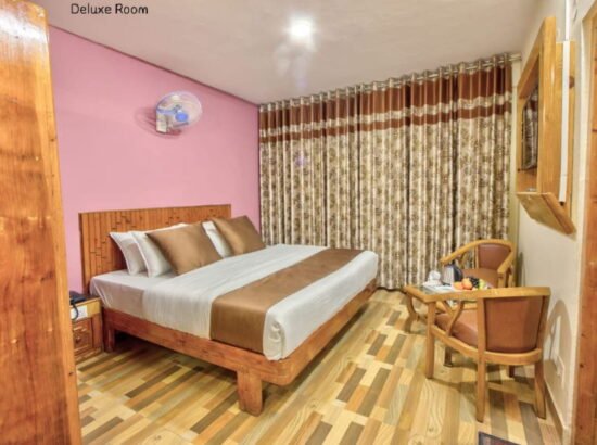 Hotel Ibex Manali 