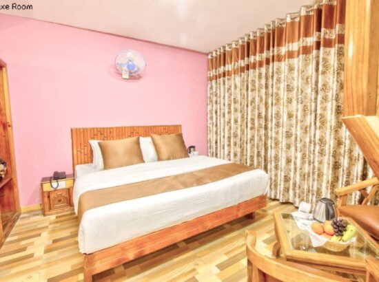 Hotel Ibex Manali 