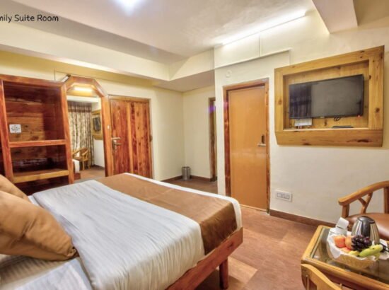 Hotel Ibex Manali 