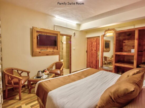 Hotel Ibex Manali 