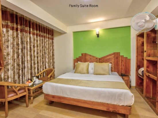 Hotel Ibex Manali 