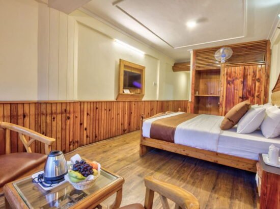 Hotel Ibex Manali 
