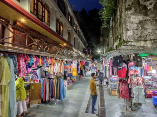 Hotel Ibex Manali 