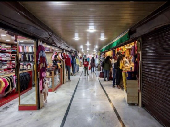 Hotel Ibex Manali 