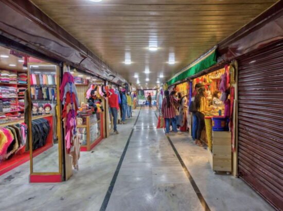 Hotel Ibex Manali 