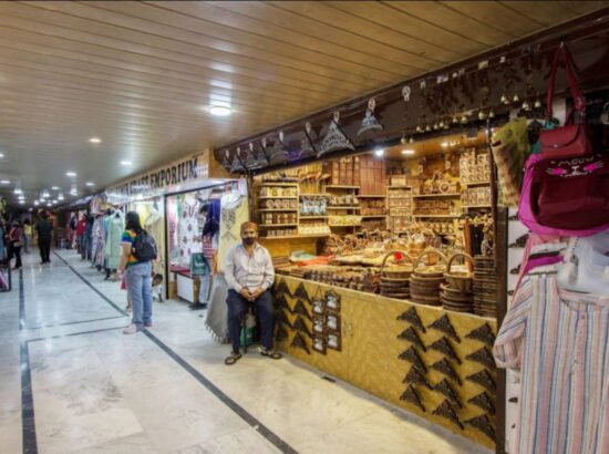 Hotel Ibex Manali 