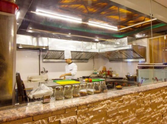 Hotel Ibex Manali 