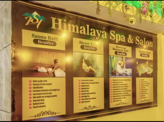 Hotel Ibex Manali 