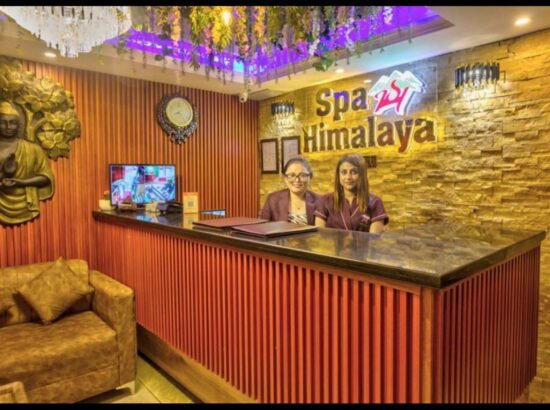 Hotel Ibex Manali 