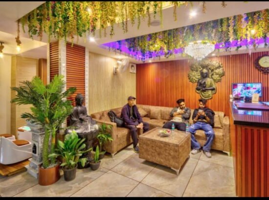 Hotel Ibex Manali 