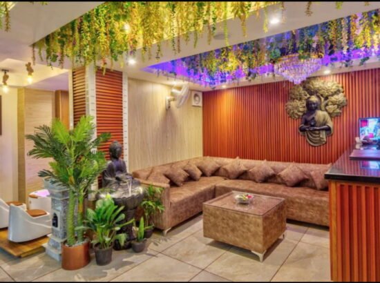Hotel Ibex Manali 