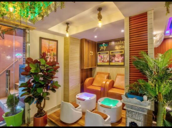 Hotel Ibex Manali 