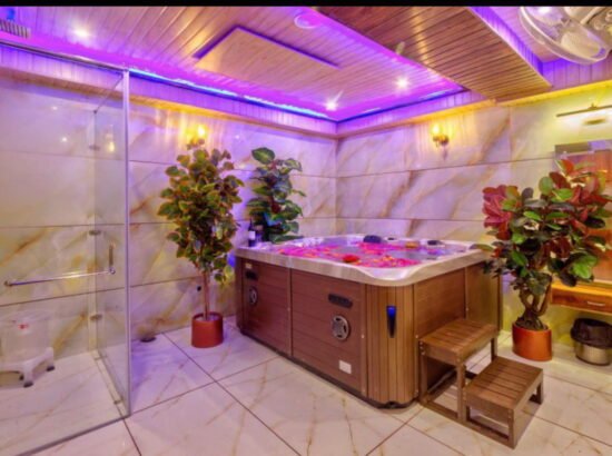 Hotel Ibex Manali 