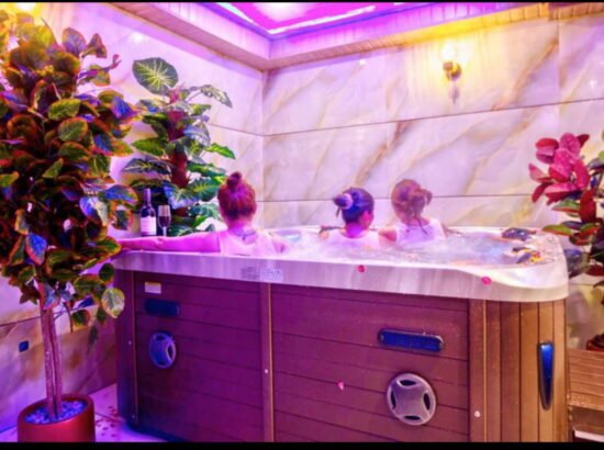 Hotel Ibex Manali 
