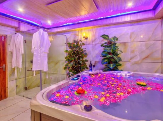 Hotel Ibex Manali 