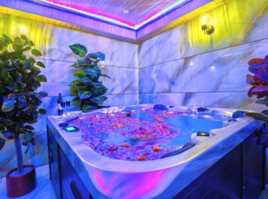 Hotel Ibex Manali 