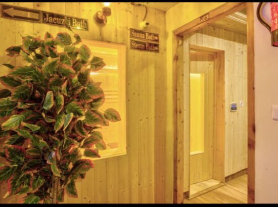 Hotel Ibex Manali 