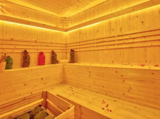 Hotel Ibex Manali 