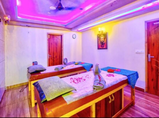 Hotel Ibex Manali 