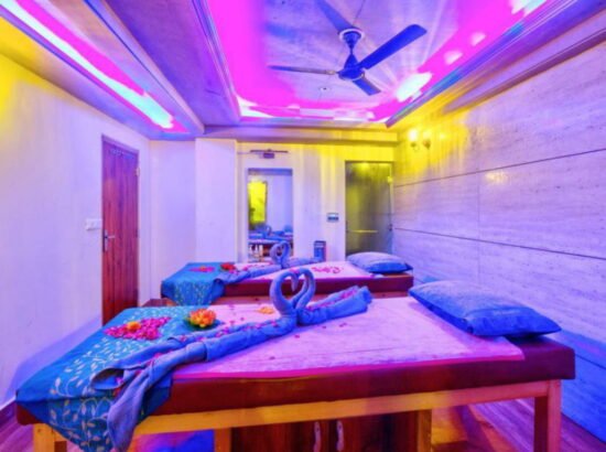 Hotel Ibex Manali 