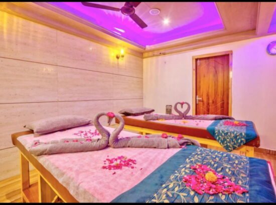 Hotel Ibex Manali 