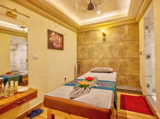 Hotel Ibex Manali 
