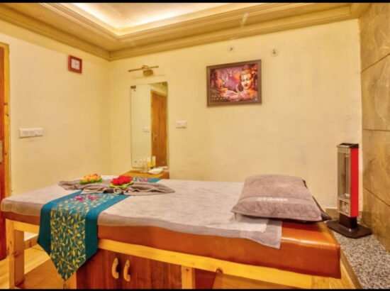 Hotel Ibex Manali 