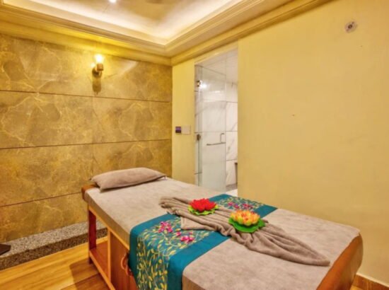 Hotel Ibex Manali 