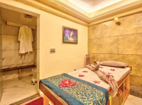 Hotel Ibex Manali 