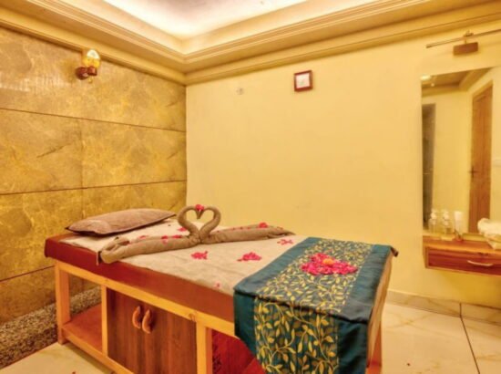 Hotel Ibex Manali 