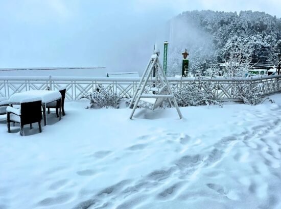 Galleu Hill Resort 