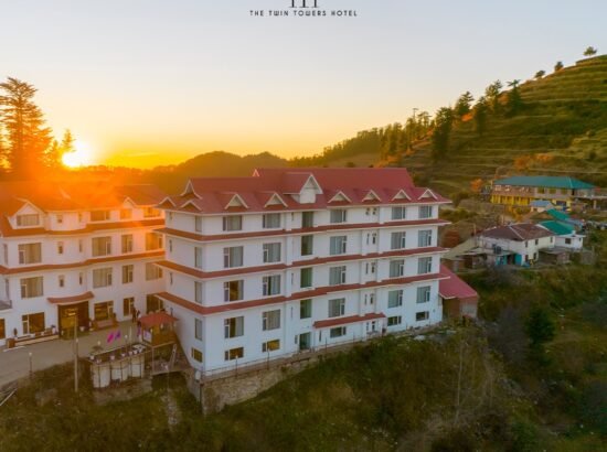 The Twin Towers Hotel 